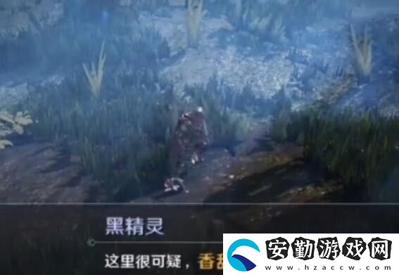 黑色沙漠手游華麗的空殼任務怎么做