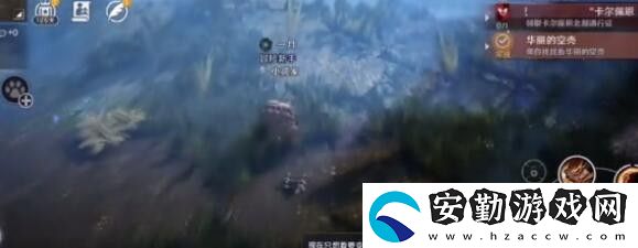 黑色沙漠手游華麗的空殼任務怎么做